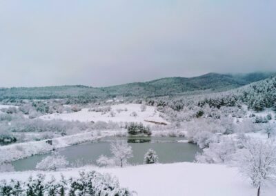 78310549_815359948897904_8418146775017193472_n